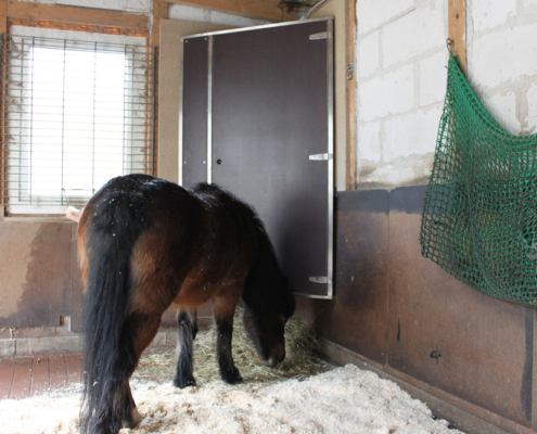 Pferd frisst Heu aus einer zeitgesteuerten Heuschrank in einem Stall.