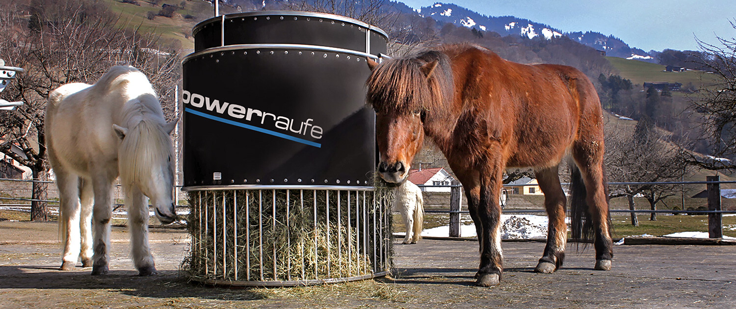 Islandpferde fressen aus einer Powerrraufe vor Bergkulisse, automatische Heufütterung für Pferde