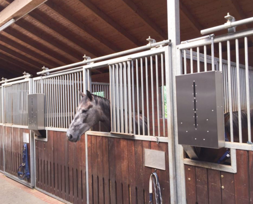 Pferd im Stall mit Powerfeeder Kraftfutterautomat an der Boxenwand, automatische Fütterung