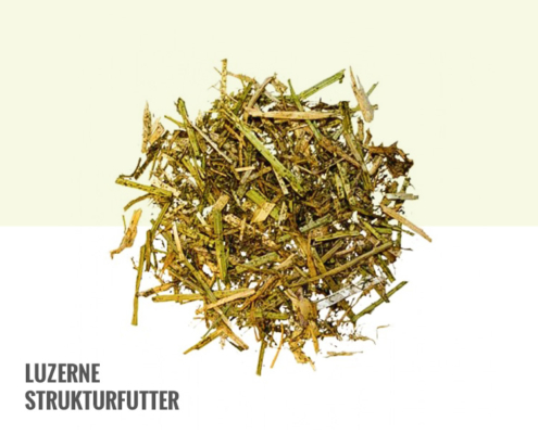 Lurzerne Kraftfutter mit Melasse