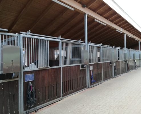 Pferdestall mit mehreren Boxen in einer hellen Stallgasse. An jeder Box sind zeitgesteuerte Kraftfutterautomaten Powerfeeder montiert, die eine präzise und automatische Fütterung ermöglichen