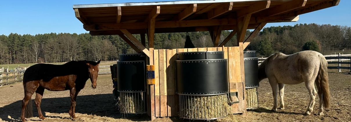 Pferde entspannen beim fressen. Die Pferde im Offenstall mit zeitgesteuerten Heuraufen und optimaler Offenstallhaltung. Pferde in Gruppenhaltung fressen entspannt an der runden Powerraufe aus Edelstahl, sichere und hochwertige Heuraufe Made in Germany